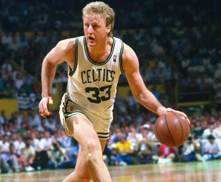 正如帕尔默 正如帕尔默