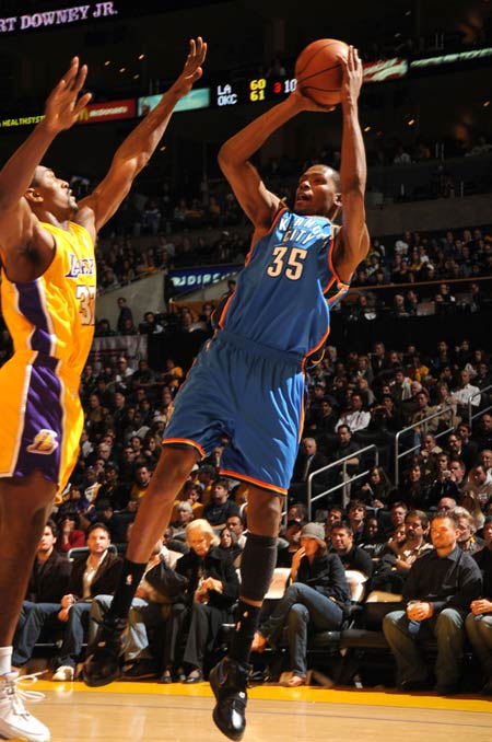 凯利的职业 凯利的职业