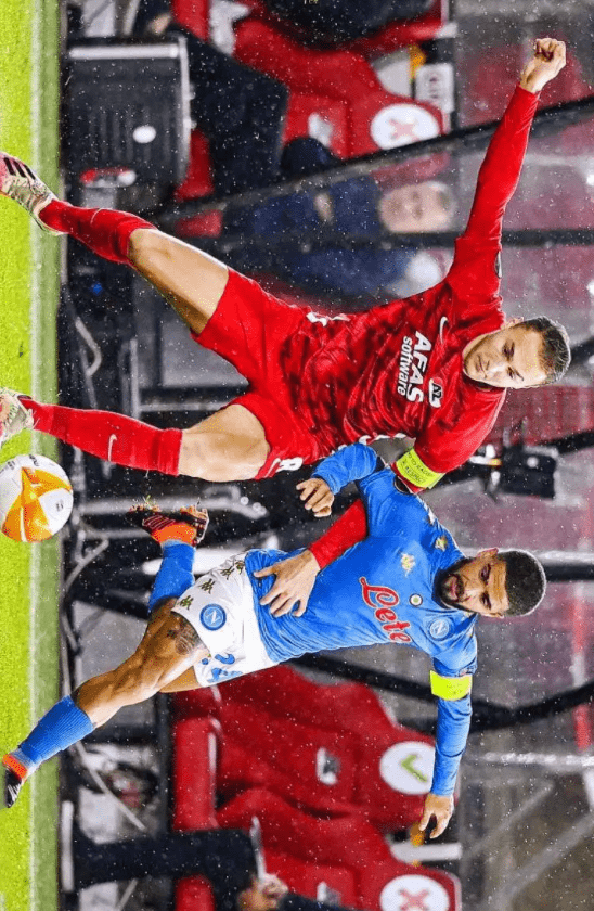 热爱与忠诚 热爱与忠诚