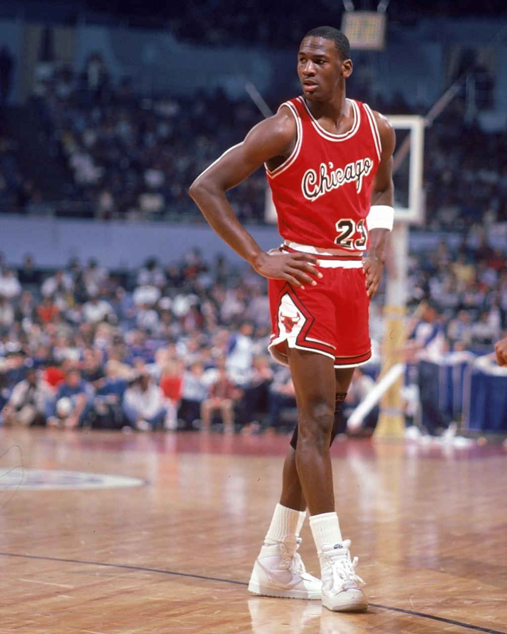 更是叙事的 更是叙事的